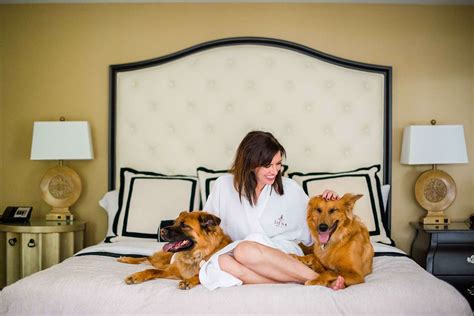 dog friendly hotels city state.